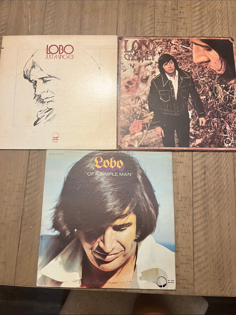 Lobo Vinyl Record Lot — Three Albums (Beige, Brown, Blue)
